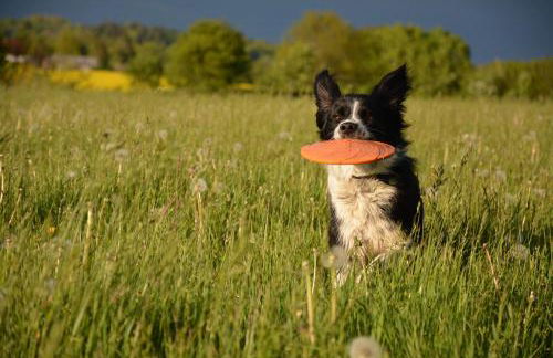 Ferienwohnung Zimmert - Photo 17