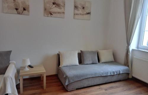 Apartament Parkowy - Foto 15