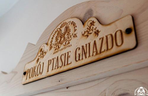 Agroturystyka Corno Owca - Foto 22