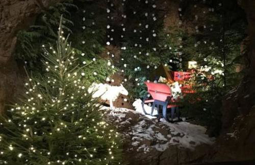 The Chaff House Country Cottage - Foto 57