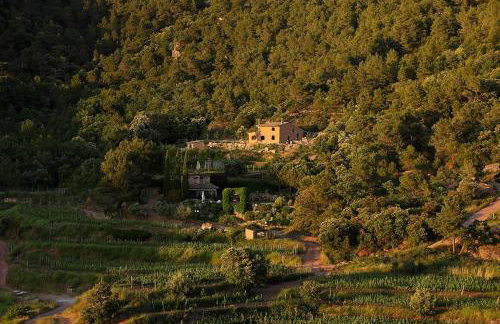 Foïna dels Fontanals - Foto 23