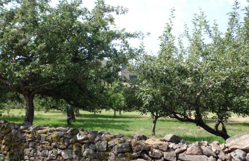 Casa Rural La Altanera , Registro Oficial CRA-LE-564 - Photo 25