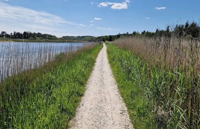 6 Person Holiday Home in Silkeborg - Foto 45