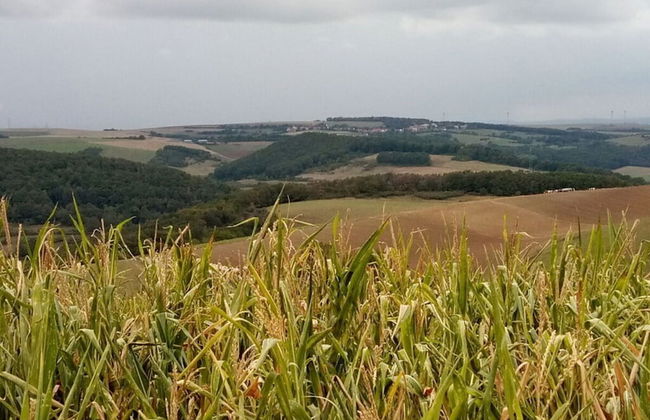 Holiday Apartment Lautertalblick - Photo 21