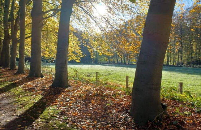 Bungalow met Omheinde Tuin op de Veluwe - Foto 41