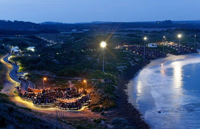 Complete Phillip Island Day Trip - Photo 8