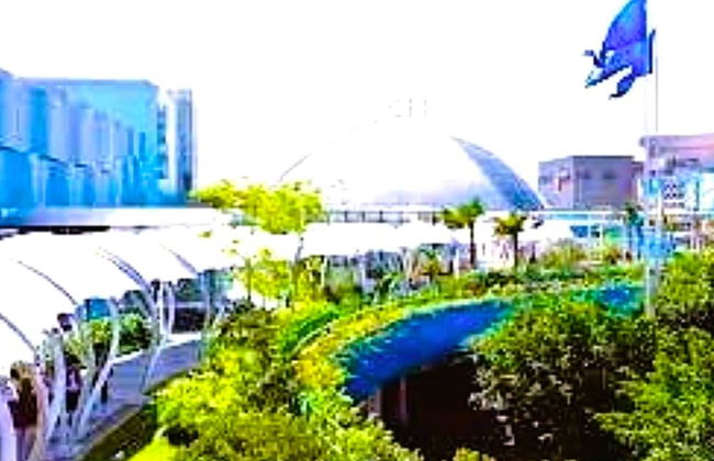 Grass Residence SM North MRT NLEX QC - Photo 40