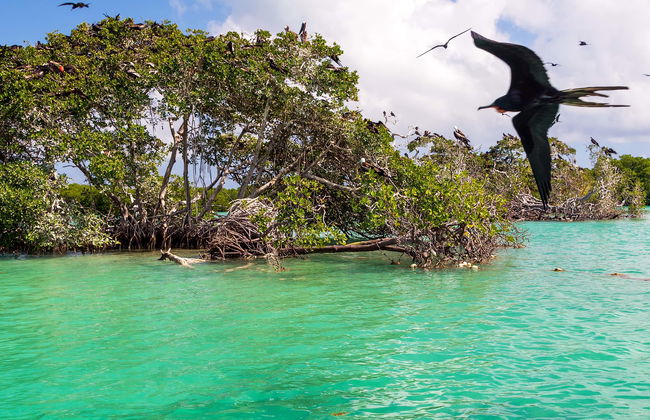 Excursión a Sian Ka’an - Foto 1