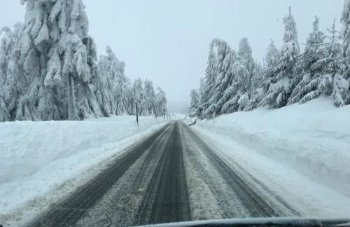 Fewo-Michi - Foto 18