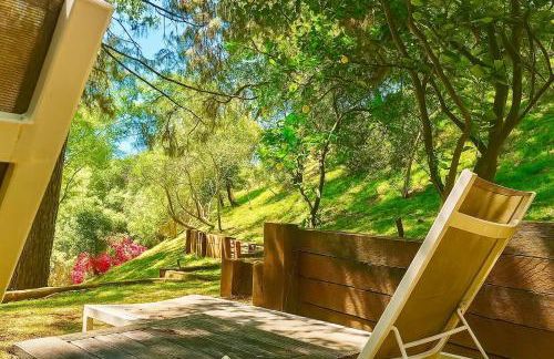 Hollywood Hills Spa Retreat Oasis with Tree Top Views, Private Jacuzzi Style Tub, Steam Room, Magical Half Acre Acre Garden and Patio, Free Parking for 2 cars, in LA's most Serene, Central Desirable Area - Foto 18