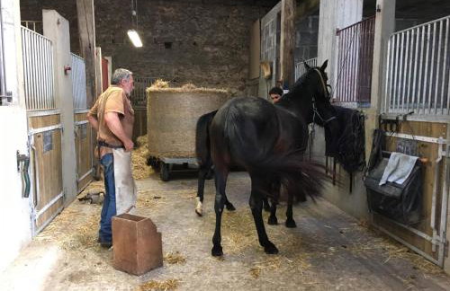 logement jusqu'à 8 lits dans un centre équestre grand parking - Foto 42
