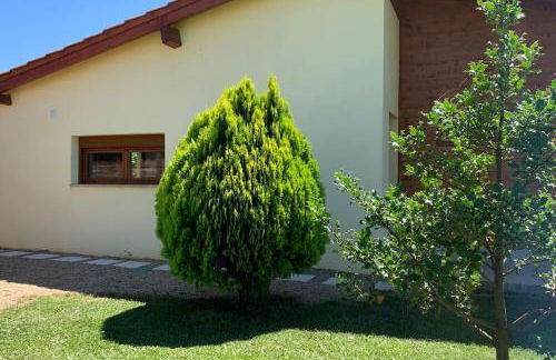 Quinta Pedro e Inês - Foto 21