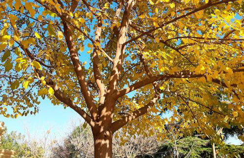 VILLA AFRICA - Foto 46