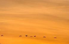 Villa La Parra en el corazón de la Sierra de Gata TR-CC-00464 - Foto 11