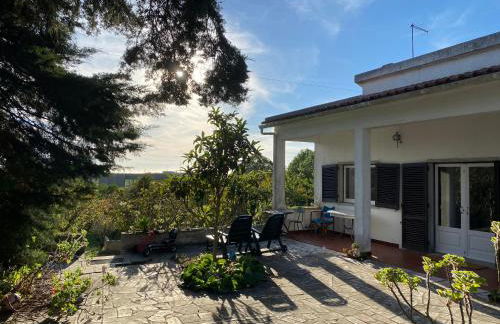 House of green leaves - Foto 9