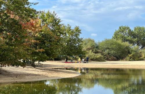 BASSIN D'ARCACHON, Maison vacances climatisée au calme, proche plage - Foto 46