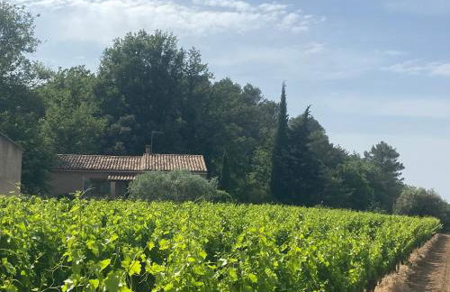 La Manaude - Photo 37