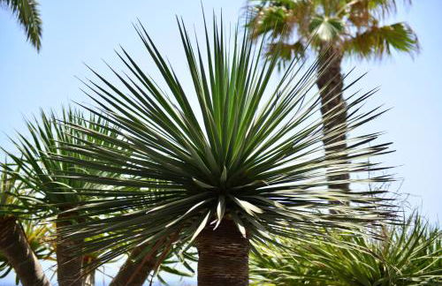 Casa Ronda - Foto 38