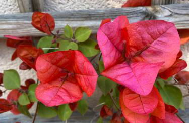 Résidence Terra Théa - Foto 106