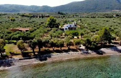 Beachfront cottage house in olive grove - Foto 2