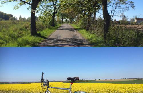 La Petite France - Foto 46