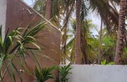 FLECHEIRAS ATLANTICO - Foto 31