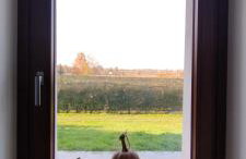 Agriturismo il meleto - Foto 19