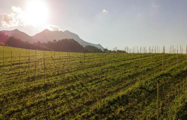 Relaxing Countryside Stay - Foto 37