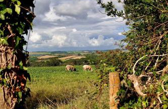 Torridge House Cottages - Foto 45