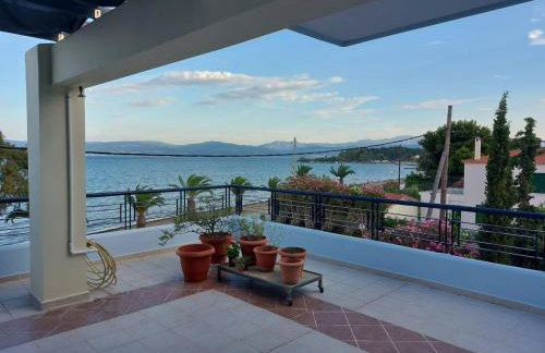 House on the beach - Photo 18