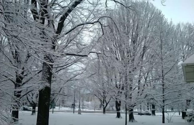 JARVIS Edgewater Park & Beach 5BD Villa - Foto 13