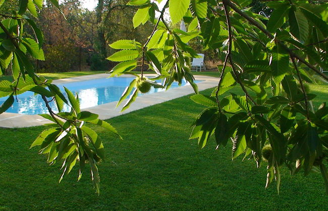 Finca la Media Legua - Foto 19