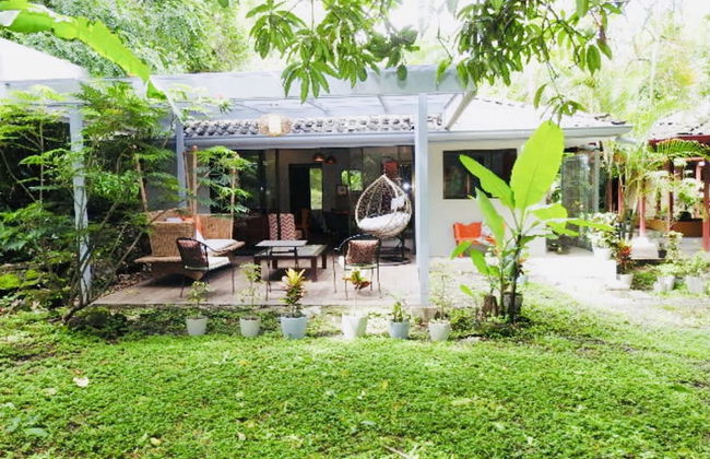 Relaxing Sound of River Birds Squirrels - Foto 37