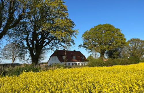 Landhaus an der Schlei - Photo 38