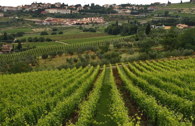 Podere il Poggiolo - Photo 59