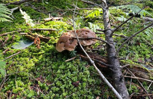 Sferyczny Azyl - Foto 18