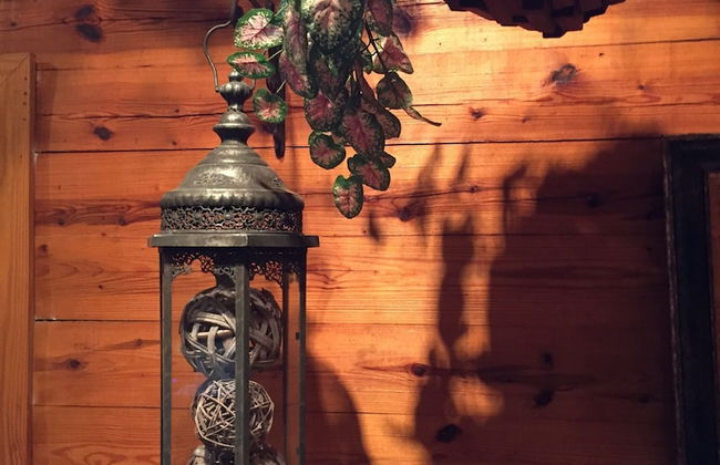 Cherokee mountain log cabin resort - Foto 10