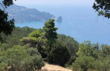 Paloubi Estate - Photo 8