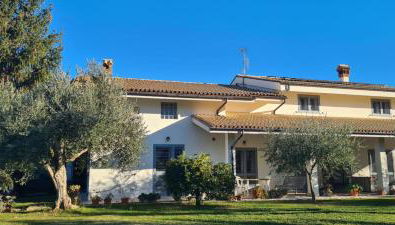 Green Paradise - Foto 3