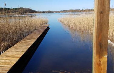Mecklenburgische Seenplatte - FH mit optionalem Steg und Ruderboot - Foto 12