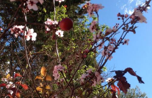 Altea Hills Villa Casablanca 23 - Foto 27