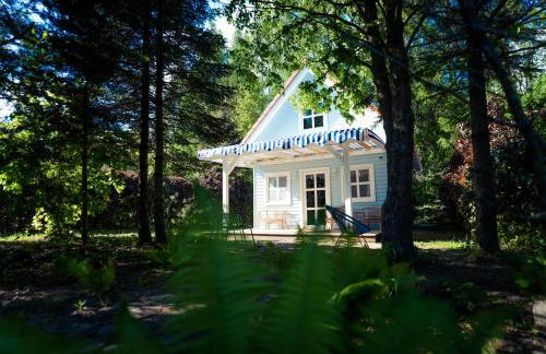 Kwiat Paproci - Foto 1