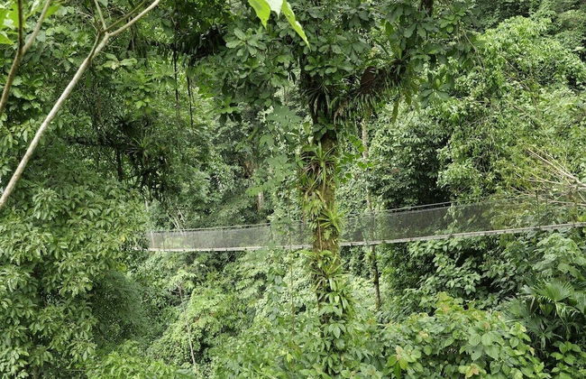 Pura Natura Lodge Arroyo - Foto 52