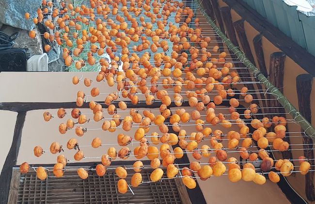 Moonlight House - Photo 39