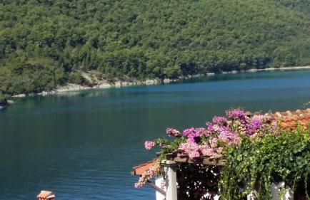 Villa Luma Apartments - Foto 15