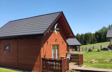 Domki na Zagroniu - Foto 33