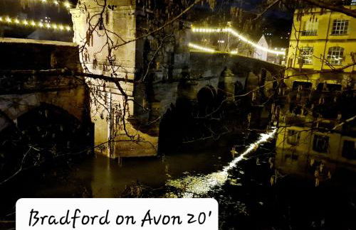 Bumblebee checkout 2pm Frome Longleat Aqua Sana Bath 5 people PRIVACY - Foto 14