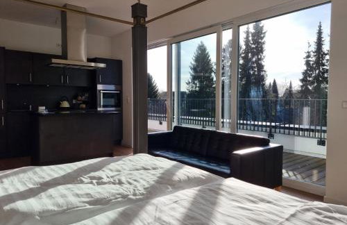 Stylische Penthouse Wohnung - Foto 7