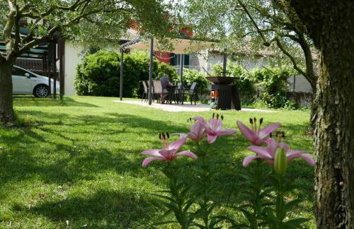 Agriturismo al Tralcio - Foto 84