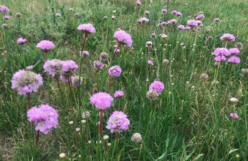 Domek Walentinki - Foto 49